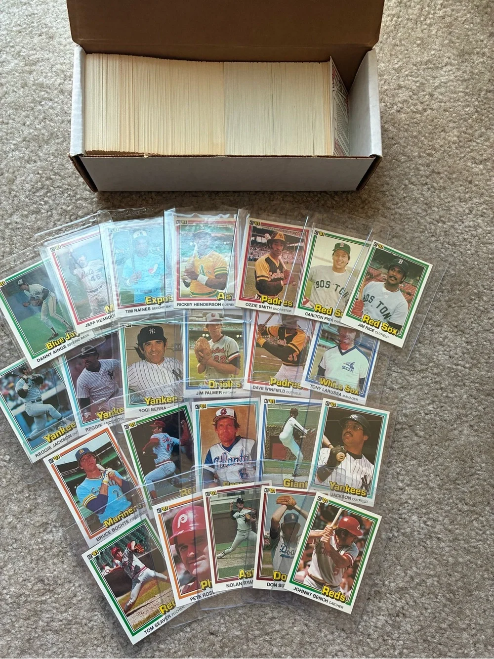 Vintage Baseball Card Lot - 1981 Donruss Complete Set-Raines RC